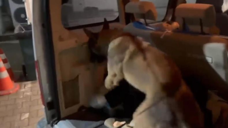 Emniyet’ten Kuzey Marmara Otoyolu’nda uyuşturucu operasyonu