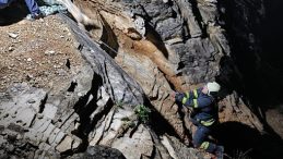 Kayalıklardaki sürüye cansiparane kurtarma