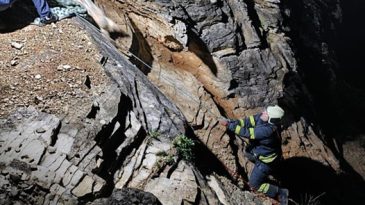 Kayalıklardaki sürüye cansiparane kurtarma