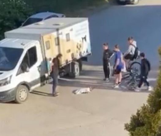 Gölcük’te yaralanan kediye mahalledeki çocuklar sahip çıktı