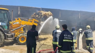 Kocaeli’de çiftlik yangını