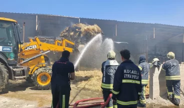 Kocaeli’de çiftlik yangını