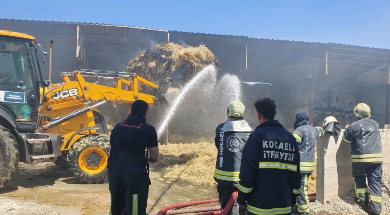 Kocaeli’de çiftlik yangını