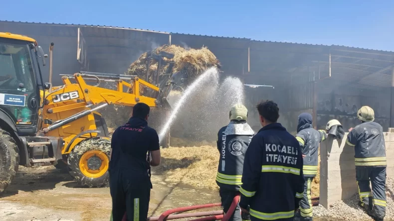 Kocaeli’de çiftlik yangını