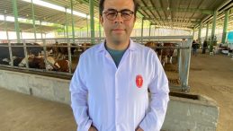 Bahar ve yaz aylarında gizlenen tehlike