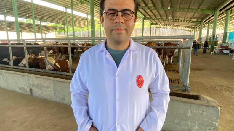 Bahar ve yaz aylarında gizlenen tehlike