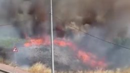 Kocaeli’de arazide korkutan yangın