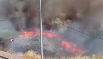 Kocaeli’de arazide korkutan yangın