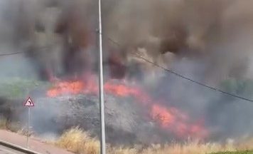 Kocaeli’de arazide korkutan yangın