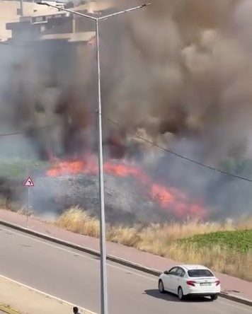 Kocaeli’de arazide korkutan yangın