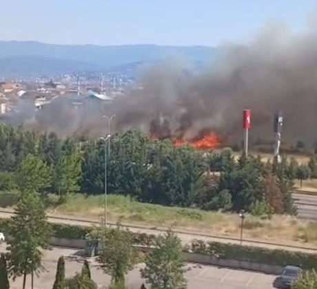 Korkunç yangın: Bölgedeki evler tahliye edildi