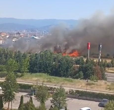 Korkunç yangın: Bölgedeki evler tahliye edildi