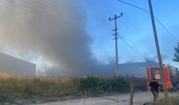 Kocaeli’de fabrikada yangın