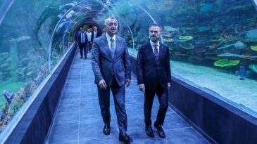 Türkiye’nin ilk tatlı su tünelli dev akvaryumu Kocaeli’de kapılarını açıyor!