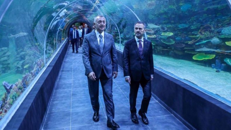 Türkiye’nin ilk tatlı su tünelli dev akvaryumu Kocaeli’de kapılarını açıyor!