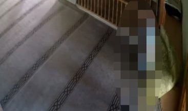 Camide cinsel ilişki rezaleti!