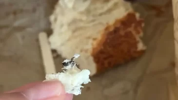 Kocaeli’de ünlü marketten alınan simidin içinden böcek çıktı!