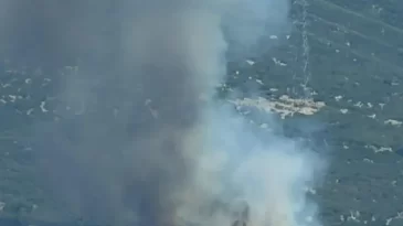 Orman yangını: Havadan ve karadan dev müdahale