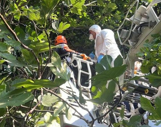 Ağır koku ihbarıyla acı gerçek ortaya çıktı