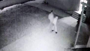 Kocaeli’de skandal: Cami’de uygunsuz davranış sergileyenleri uyaran imam darp edildi