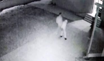 Kocaeli’de skandal: Cami’de uygunsuz davranış sergileyenleri uyaran imam darp edildi