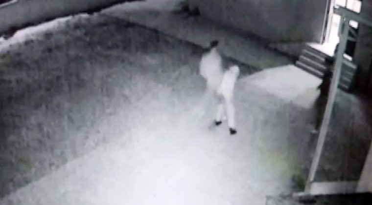 Kocaeli’de skandal: Cami’de uygunsuz davranış sergileyenleri uyaran imam darp edildi