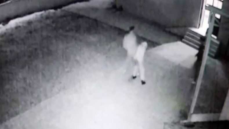 Kocaeli’de skandal: Cami’de uygunsuz davranış sergileyenleri uyaran imam darp edildi