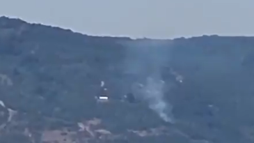 Kocaeli’de orman yangını!