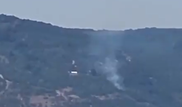 Kocaeli’de orman yangını!