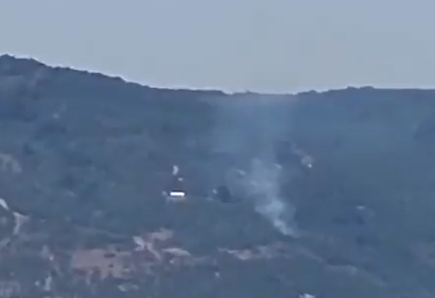 Kocaeli’de orman yangını!