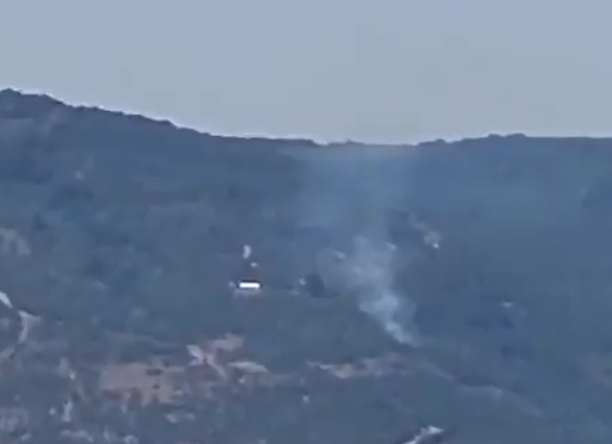 Kocaeli’de orman yangını!