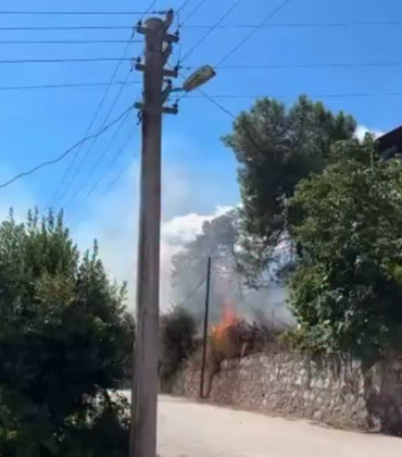 Kocaeli’de ormanlık alanda yangın