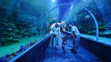 İzmit Körfezi’nin canlıları Körfez Aqua’da