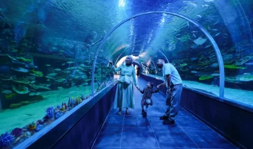 İzmit Körfezi’nin canlıları Körfez Aqua’da