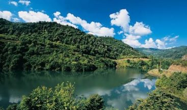 Kocaeli barajlarında su düzeyi dengeye kavuştu: Düşüş trendi durakladı