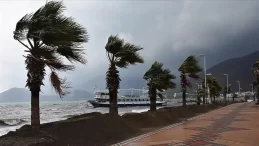Valilikten Kocaeli için fırtına uyarısı: 2 gün sürecek