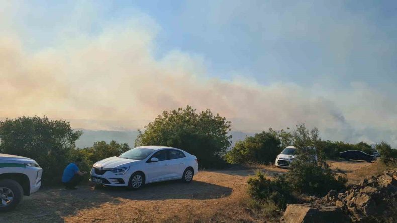 Kocaeli Valiliği orman yangınıyla ilgili bölgedeki vatandaşları uyardı