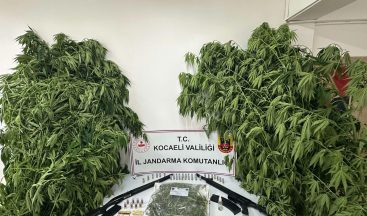 Jandarmadan Kartepe’de uyuşturucu ve silah operasyonu: 2 tutuklama