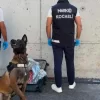 Narkotik köpeği valizde 21 bin sentetik ecza buldu