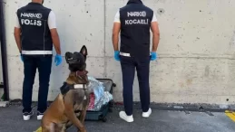 Narkotik köpeği valizde 21 bin sentetik ecza buldu