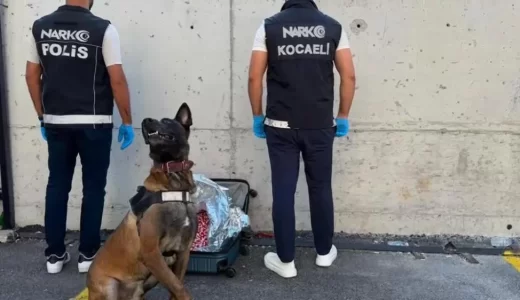 Narkotik köpeği valizde 21 bin sentetik ecza buldu