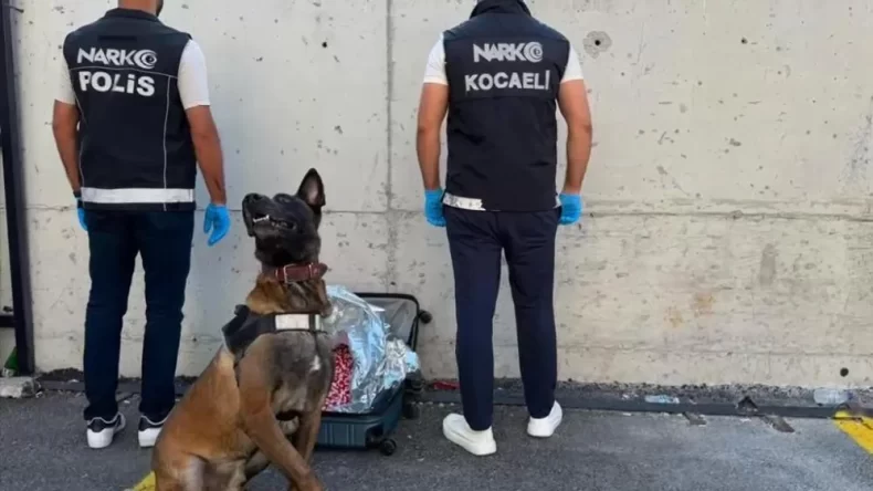 Narkotik köpeği valizde 21 bin sentetik ecza buldu