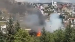 Kocaeli’de korkutan yangın: TEM Otoyolu kenarı alevlere teslim oldu