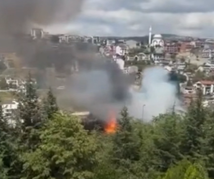 Kocaeli’de korkutan yangın: TEM Otoyolu kenarı alevlere teslim oldu