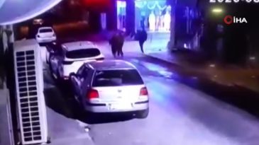 Sahilde cansız bedenleri bulunan 3 kardeşin son anları kamerada