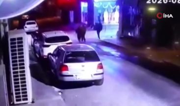 Sahilde cansız bedenleri bulunan 3 kardeşin son anları kamerada