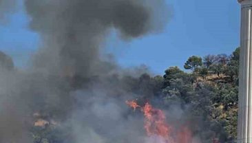 Kocaeli’de orman yangını: Çok sayıda itfaiye sevkedildi