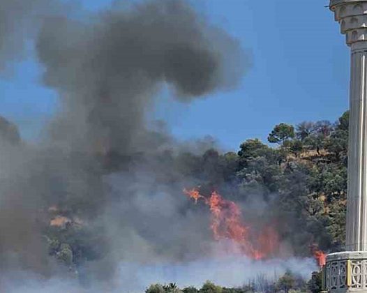 Kocaeli’de orman yangını: Çok sayıda itfaiye sevkedildi