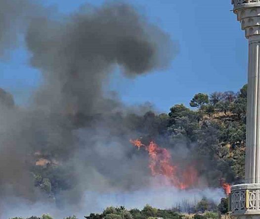 Kocaeli’de orman yangını: Çok sayıda itfaiye sevkedildi