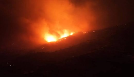 Kocaeli’de korkutan alevler: Sanayi Bölgesi yanında orman yangını!